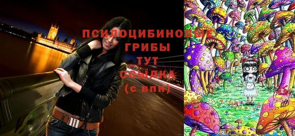 винт Осинники