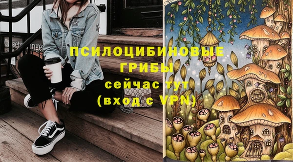 дживик Осташков