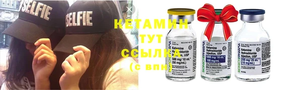 круглые Пересвет