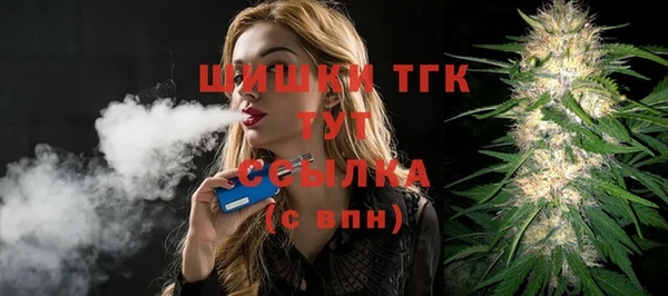 дживик Осташков