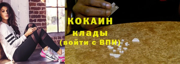 винт Осинники