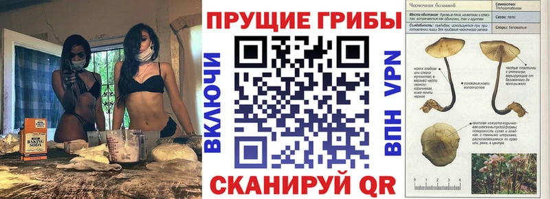 Галлюциногенные грибы Magic Shrooms  Купить закладки  Янаул 